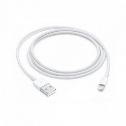 Câble Apple USB à Lightning 1m